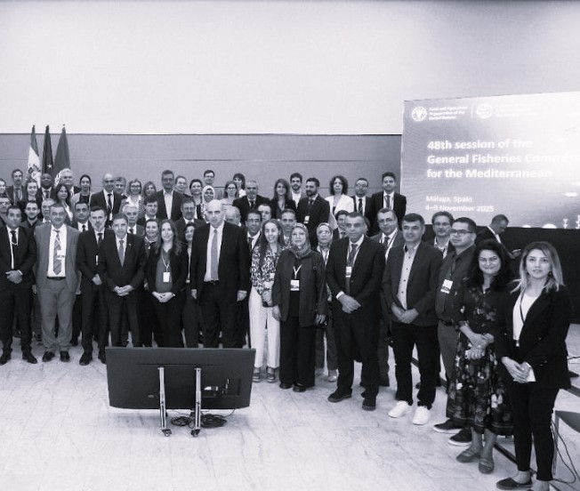 تحليل لنتائج الدورة الثامنة والأربعين للهيئة العامة لمصايد أسماك البحر المتوسط (CGPM)