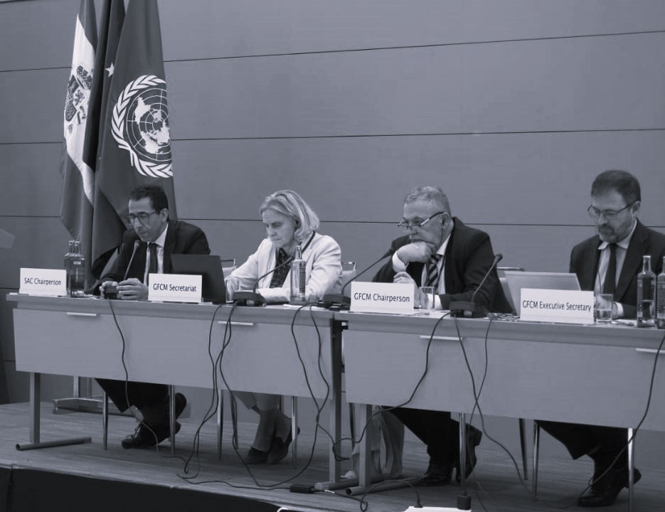 الهيئة العامة لمصايد أسماك البحر المتوسط بين طموح الإصلاح وإكراهات اللوبيات البحرية