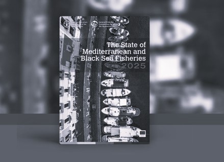 مدخل بحري… حين يلتقي الأزرقان على أعتاب المستقبل