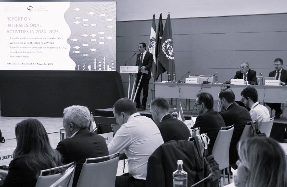 المتوسط… البحر الذي يختنق بين العلم والقرار  