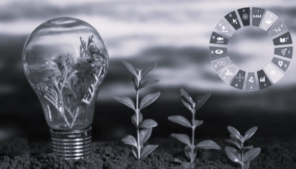 جمعية الإرشاد والتثقيف الوطني… مشروع تنموي للإنسان والمكان